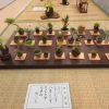気軽に盆栽を楽しめるように札幌盆栽会が展示会を開く